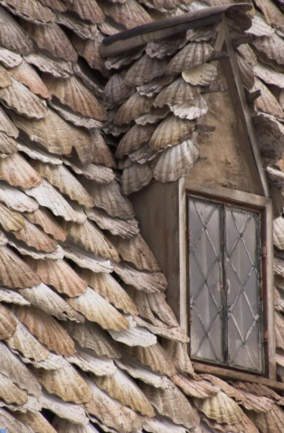 seashell roof